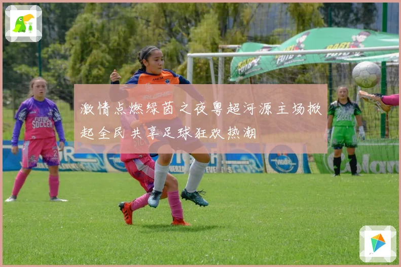 激情点燃绿茵之夜粤超河源主场掀起全民共享足球狂欢热潮