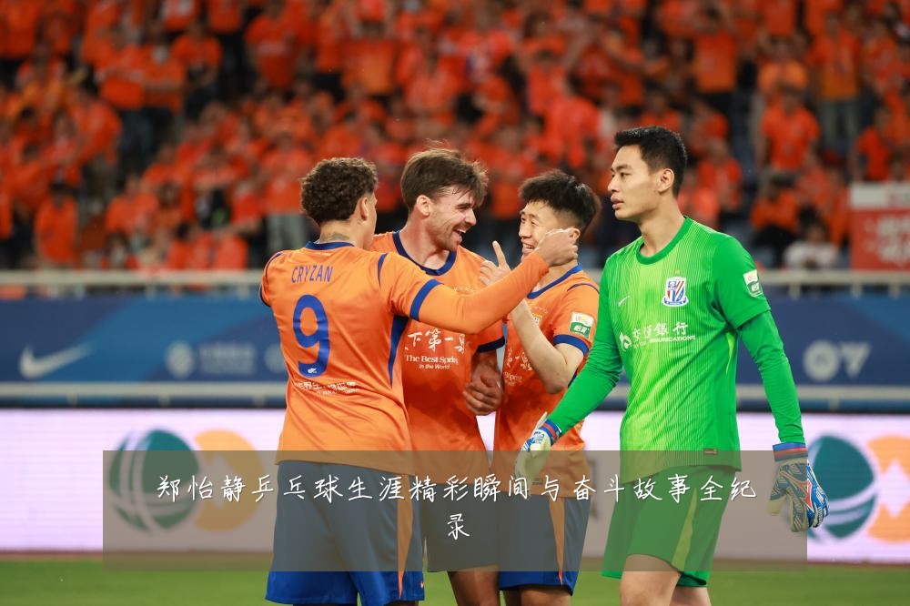 郑怡静乒乓球生涯精彩瞬间与奋斗故事全纪录